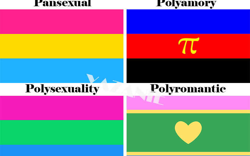 What does it mean to be Allosexual?