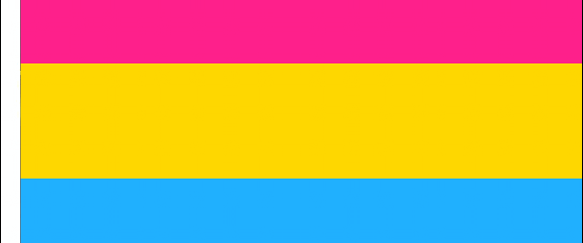 What is the definition of pansexual behavior?