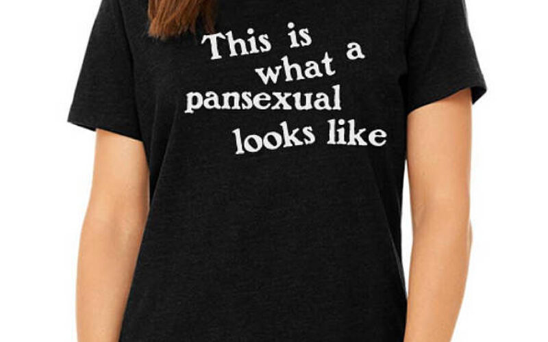 What does the pan mean in pansexual?
