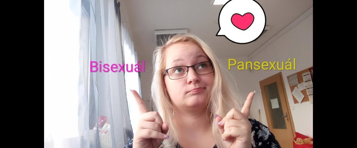 What is the dictionary definition of pansexual?