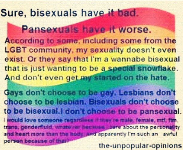 What is the official pansexual flag?