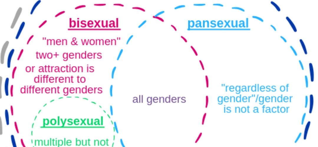 What are the pronouns for pansexual?